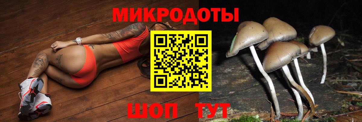 Псилоцибиновые грибы Cubensis  Вход с VPN  Заринск 